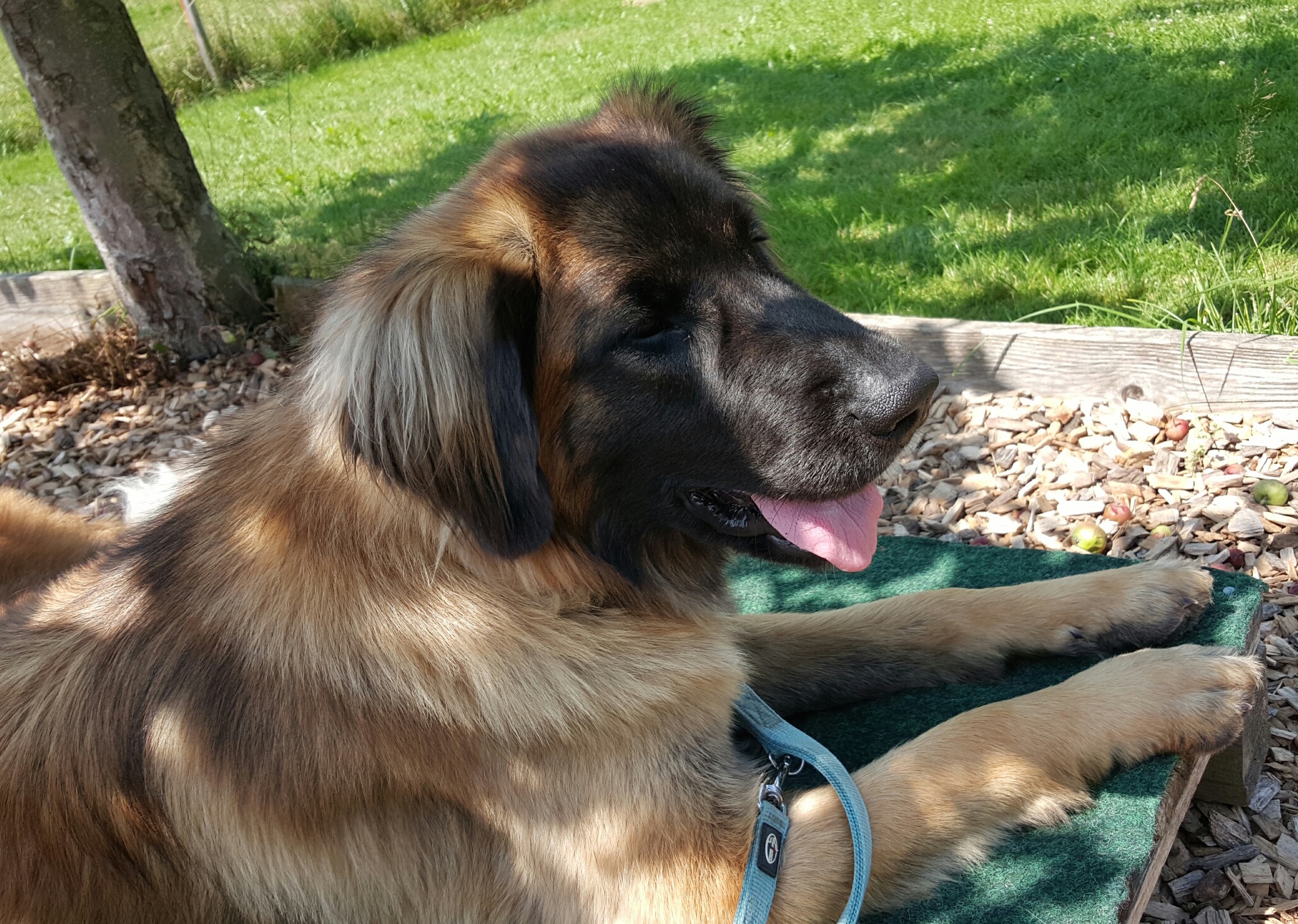 20150627 114502 resized
