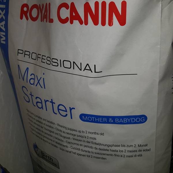 Royal Canin Resiz 31